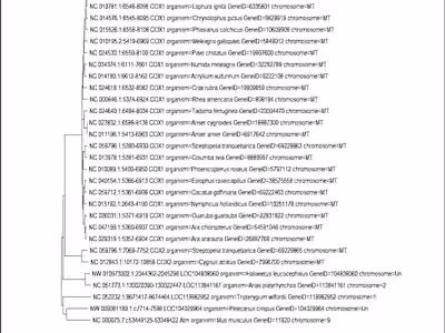Molecular analysis through Phylogenetic tree construction
using 
