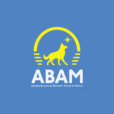 ABAM - Capstone Project