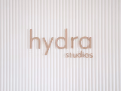 Director Of Operations - Hydra Studios