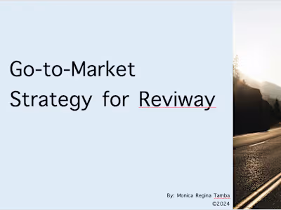 Go-to-Market Strategy: Reviway