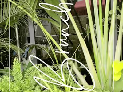 Brunch & Restaurant UGC