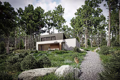 MBP House - Architectural Conceptualization & Rendering