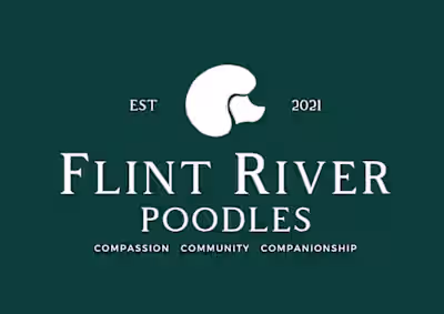 Brand Design + Strategy for Flint River Poodles