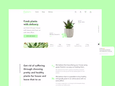 Succulent Store Website Design