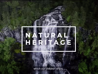 Digital Content Creation