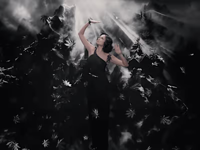 Advertisement Portfolio