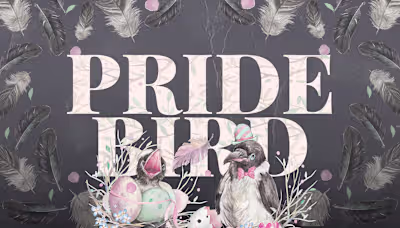 Pride Bird - visual design and brand identity on Behance