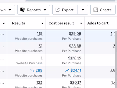 Meta and TikTok Ad Management for Wallet Ecommerce Brand