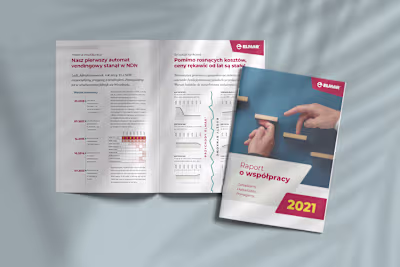 Modern 24 pages report, with superb typography and infographics