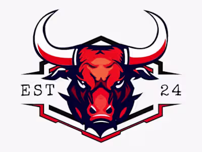 Professional Logo Design