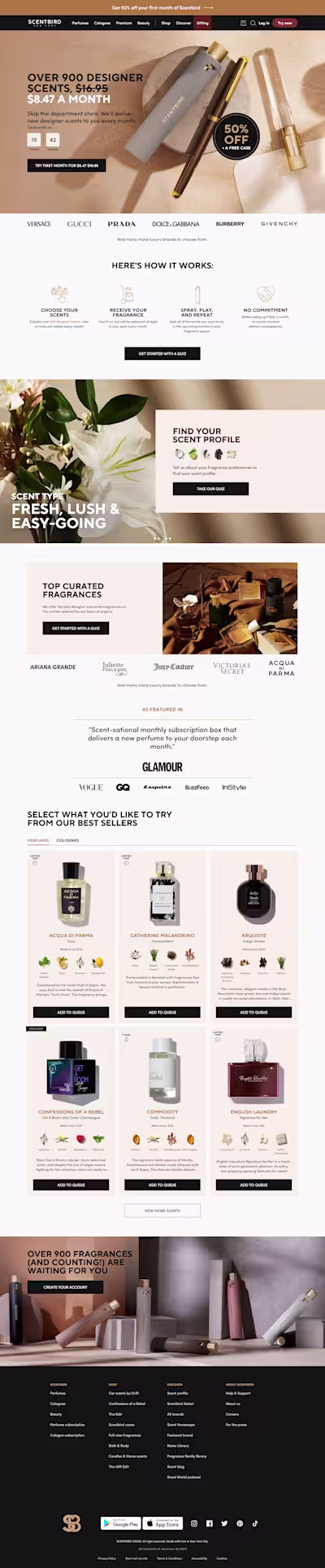 Shopify Developer & UX/UI Designer