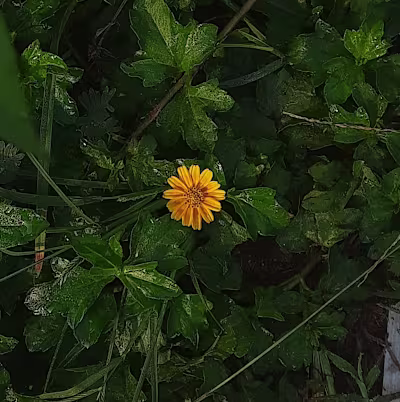 Romanticizing Everyday Moments