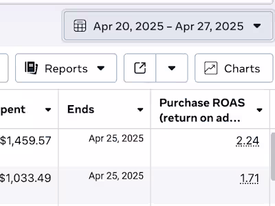 1 Week Campaign - 2X ROAS Result
