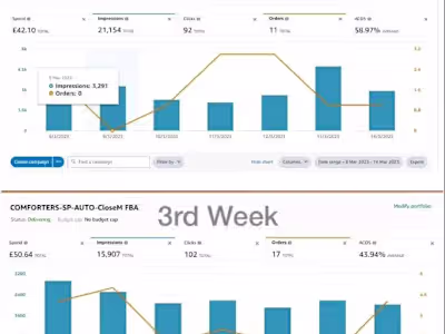 AMAZON PPC CAMPAIGN
