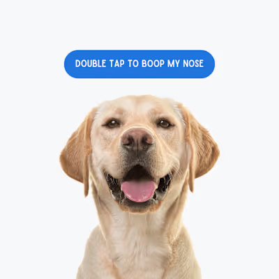 Graphic design for a Pet care service firm :: Behance