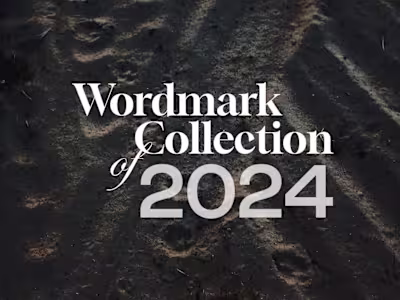 Wordmark Collection of 2024