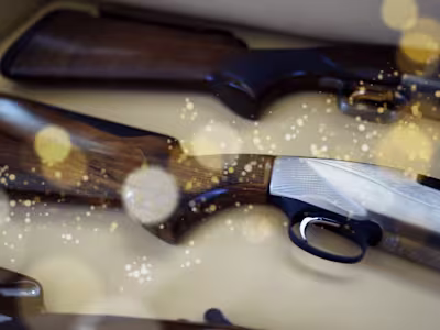 Commercial advertisement ( version 1 )