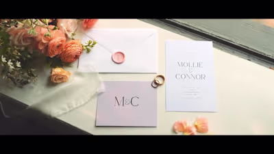 Wedding highlight film
