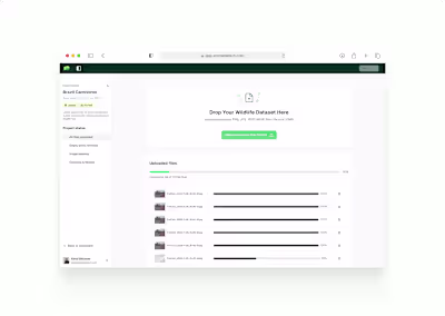 Product design for AnimalDetect - Wildlife data management