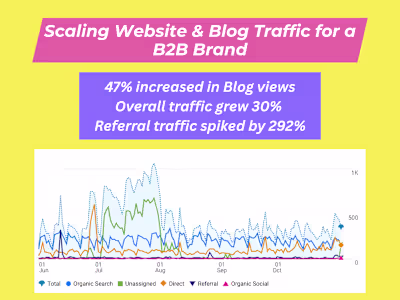 Scaling Website & Blog Traffic for a B2B Brand