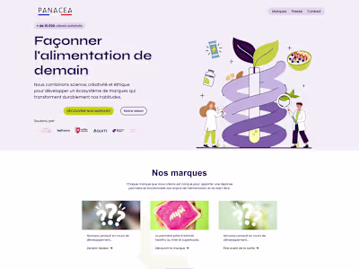 Panacea Paris Mobile Responsive Build & UI Polish