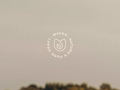 Maven - Visual Identity Design