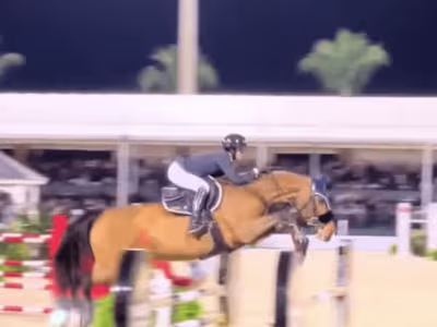 Storytelling through Creative Content • The Moment of Flight