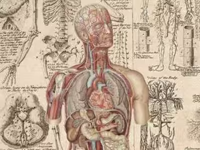 Scientific Copywriting : Bringing Facts to Life