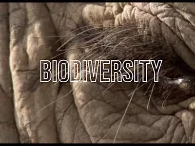 Biodiversity X B16