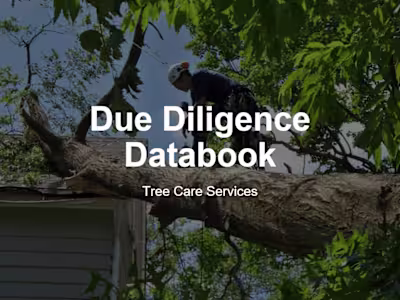 Acquisition Due Diligence Databook