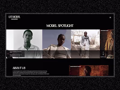 Lit Model Management