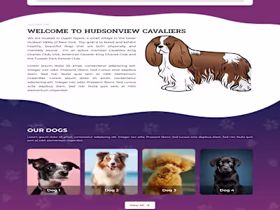 Landing Page Design for pet