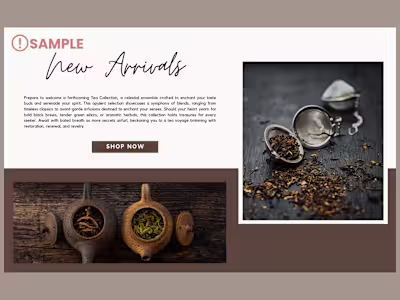E-commerce Website Overhaul for DTC Brands. 