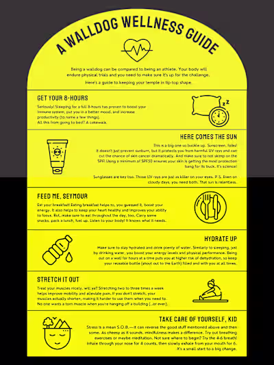 Walldog Wellness Poster Print Media Design