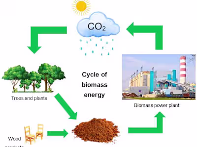 Senior Project Manager