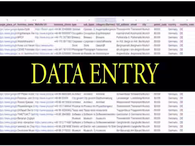I will be your accurate data entry,web research and convert file