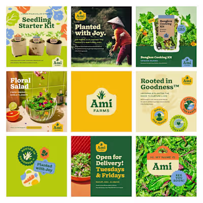 Carousel Design for Diverse Business Needs