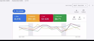 Google Ads Campaign Results — Last 14 Days (Aug 21 – Sep 3, ...