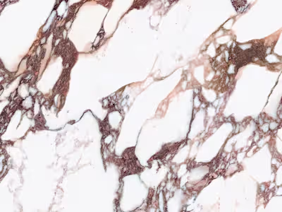 Laminam North America ✎ Social