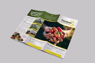 Design elegant and simple brochure design