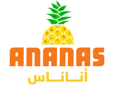 Website Development & Design & Brand Refresh l Ananas