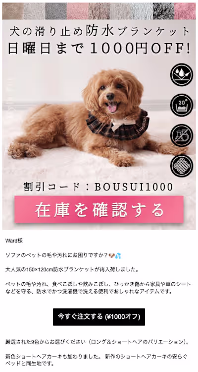 High Converting Email Design