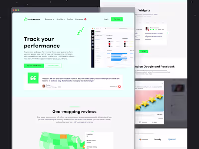 Reviewshake (Website Design)