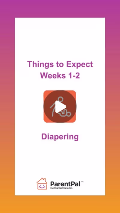 ParentPal Informational Reel