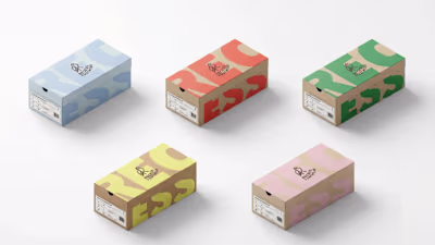 Recess Footwear - Packaging Design