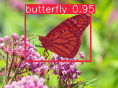 Instance Segmentation