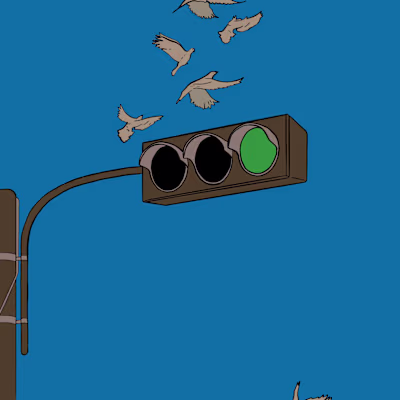 Birds on a traffic light