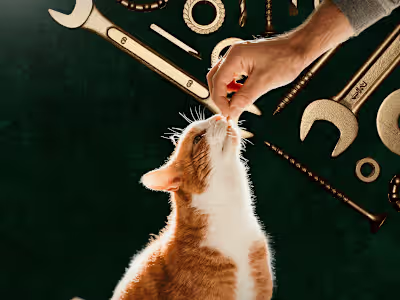 Posts designed using the Canva app.