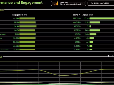 Data Analysis and Insights Report for Digital Marketing Strategy