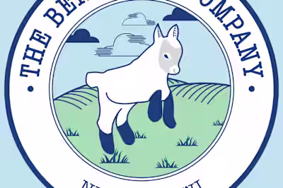 The BeneBaby Company